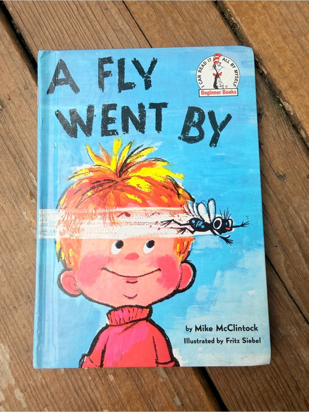 A Fly Went By - Blue Children's Picture Book by Mike McClintock